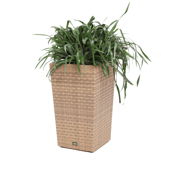 картинка Кашпо Capuccino | Капучино от компании CORSASTYLE